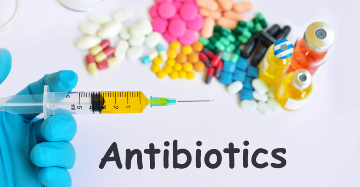 Összefoglaló készült az élelmiszertermelő állatok antibiotikumos kezeléséről